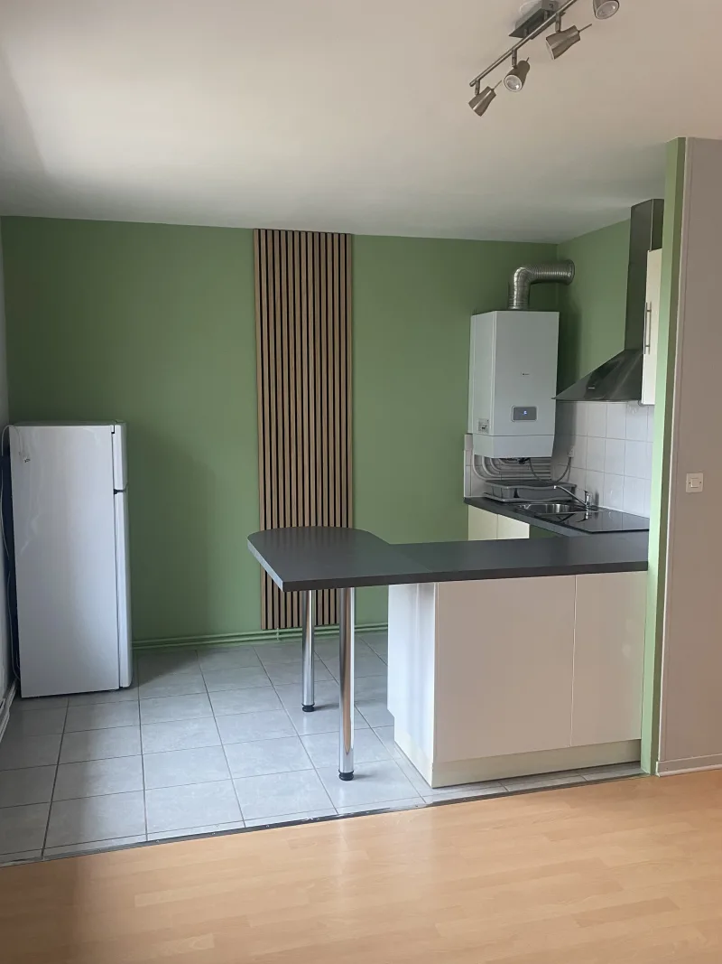 Grand F1 Proche centre/ balcons/ parking