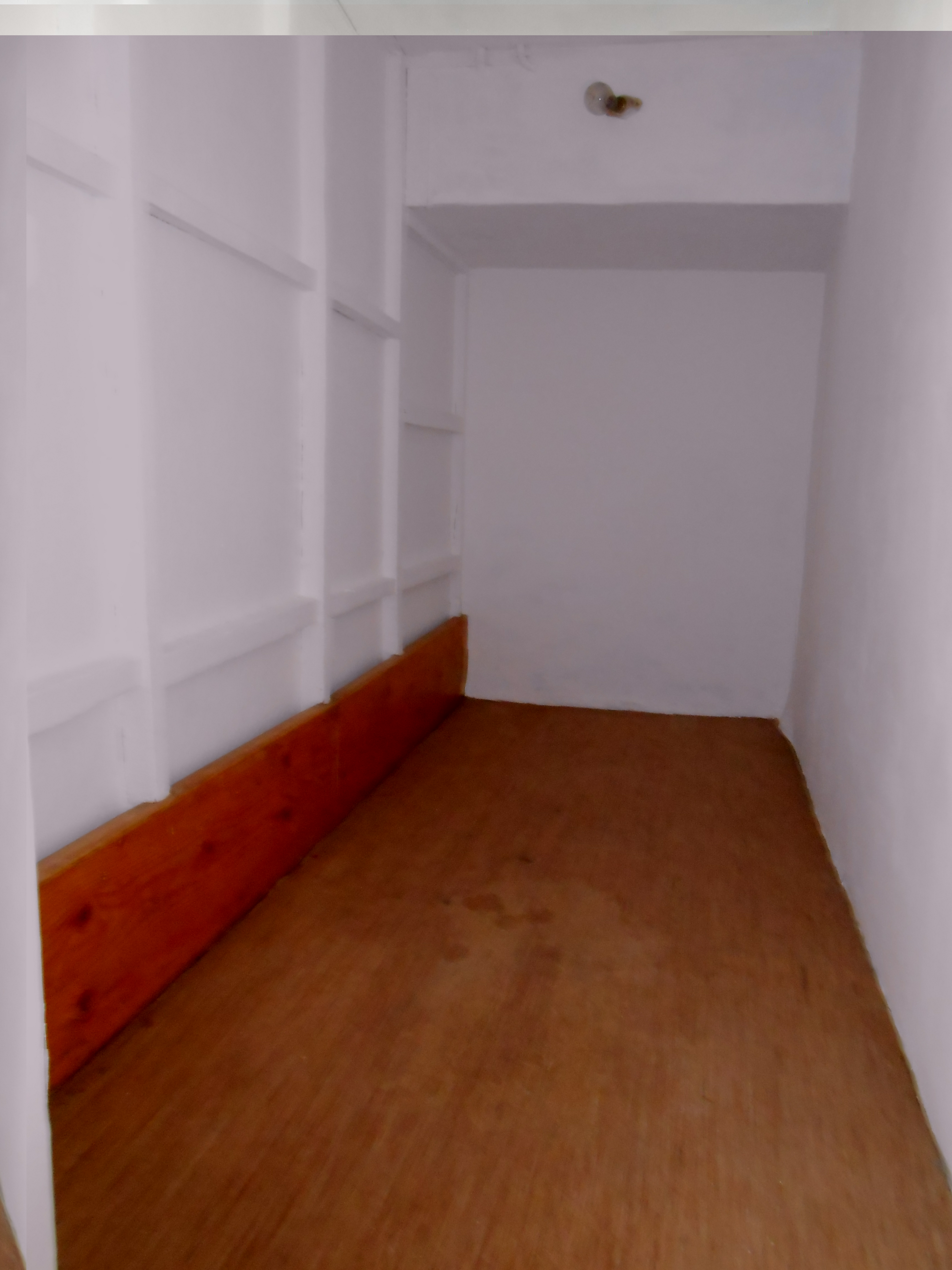 T1 semi-meublé — photo 2