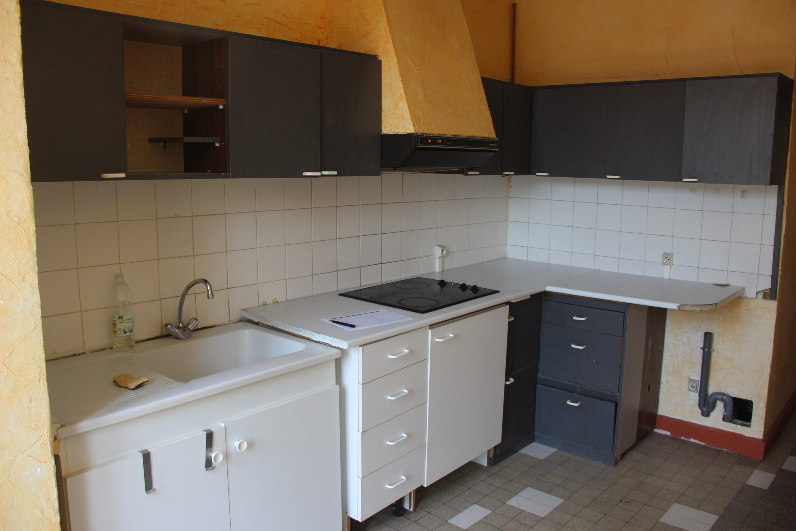 PAPIN — photo 2